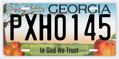 GA license plate PXH0145