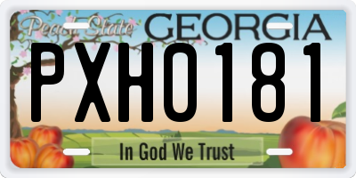 GA license plate PXH0181