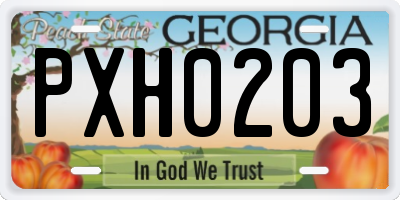 GA license plate PXH0203