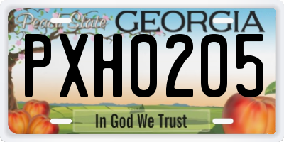 GA license plate PXH0205