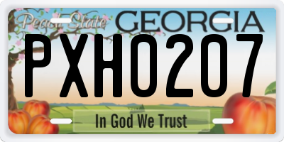 GA license plate PXH0207