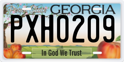 GA license plate PXH0209