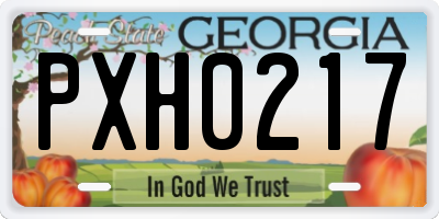 GA license plate PXH0217