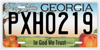 GA license plate PXH0219