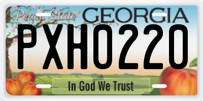 GA license plate PXH0220