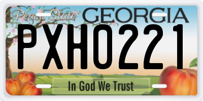 GA license plate PXH0221