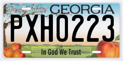 GA license plate PXH0223