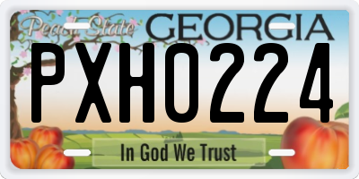 GA license plate PXH0224