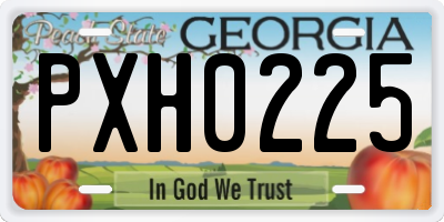 GA license plate PXH0225