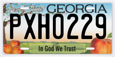 GA license plate PXH0229