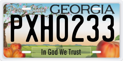 GA license plate PXH0233