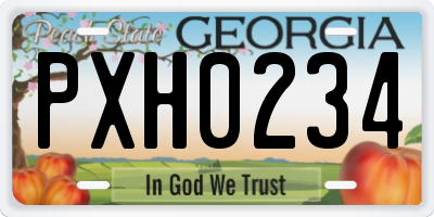 GA license plate PXH0234