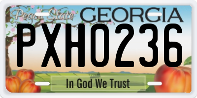 GA license plate PXH0236