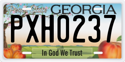 GA license plate PXH0237