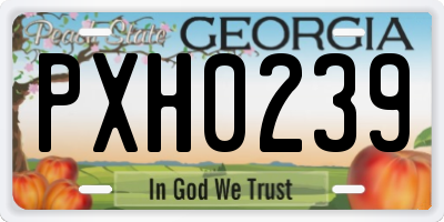 GA license plate PXH0239