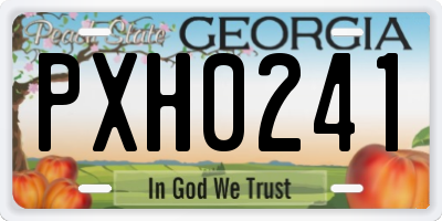 GA license plate PXH0241