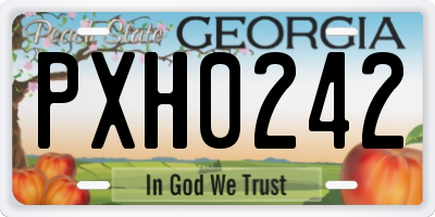 GA license plate PXH0242