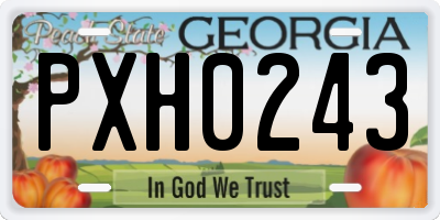GA license plate PXH0243
