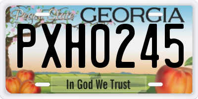 GA license plate PXH0245