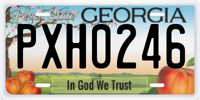 GA license plate PXH0246