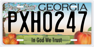 GA license plate PXH0247
