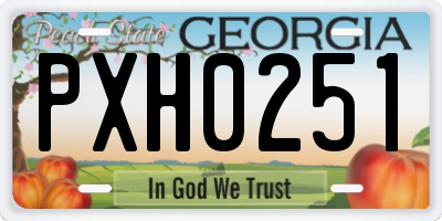 GA license plate PXH0251
