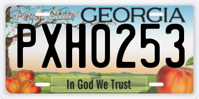 GA license plate PXH0253