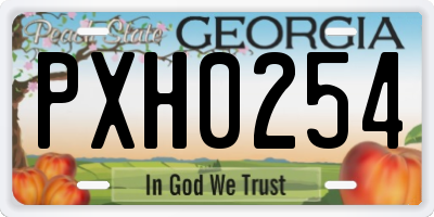 GA license plate PXH0254