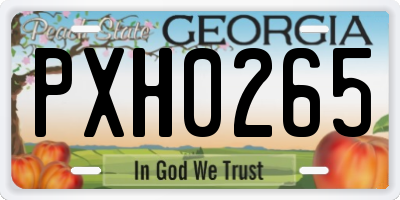 GA license plate PXH0265