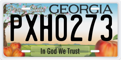 GA license plate PXH0273