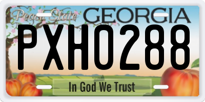 GA license plate PXH0288