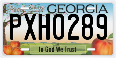 GA license plate PXH0289
