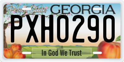 GA license plate PXH0290