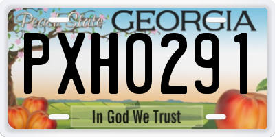 GA license plate PXH0291