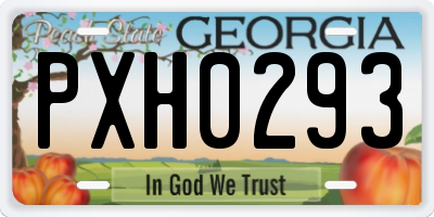 GA license plate PXH0293