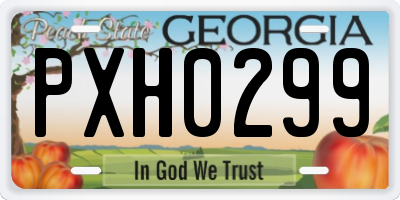 GA license plate PXH0299