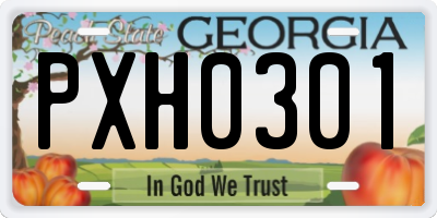 GA license plate PXH0301