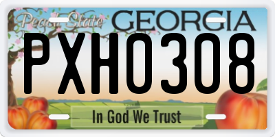 GA license plate PXH0308