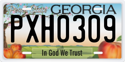 GA license plate PXH0309