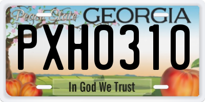 GA license plate PXH0310