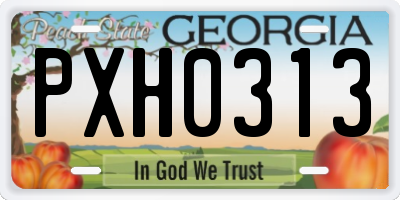 GA license plate PXH0313