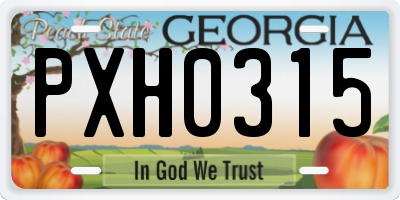 GA license plate PXH0315