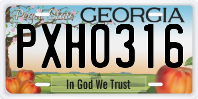 GA license plate PXH0316