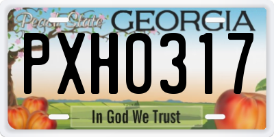 GA license plate PXH0317
