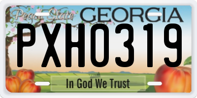 GA license plate PXH0319