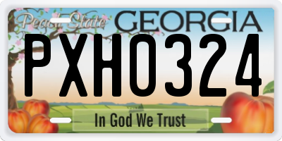 GA license plate PXH0324
