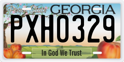 GA license plate PXH0329