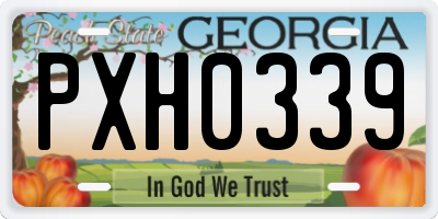 GA license plate PXH0339