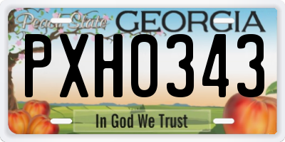 GA license plate PXH0343