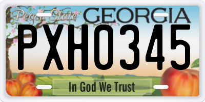 GA license plate PXH0345